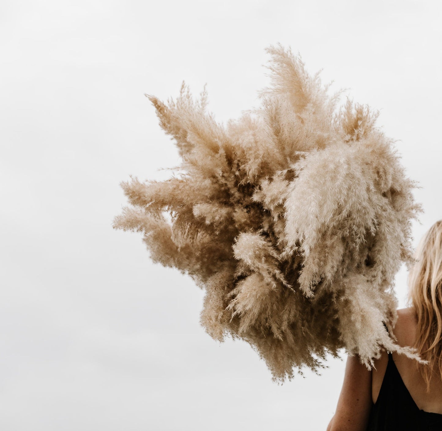 Pampas Grass - X-Large 4 FT Natural Fluffy