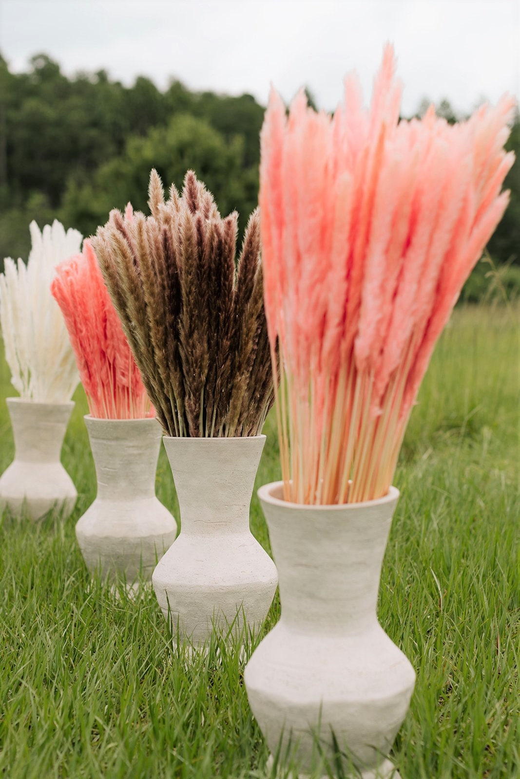 Thin 2FT Natural Brown Pampas Grass