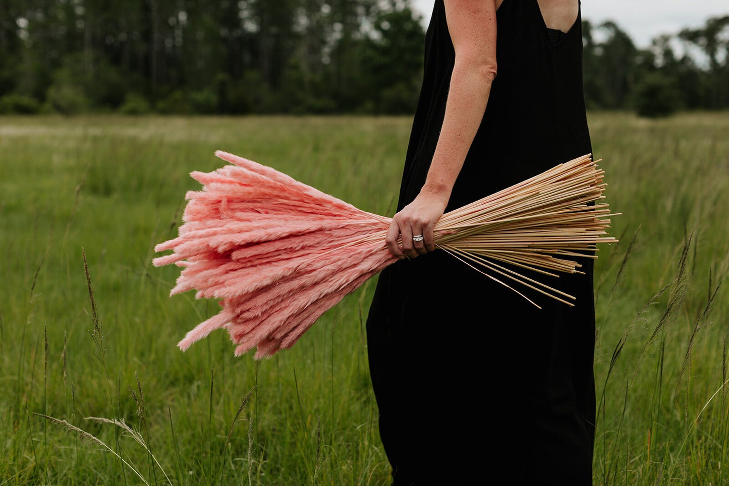 Thin 2FT Pink Pampas Grass