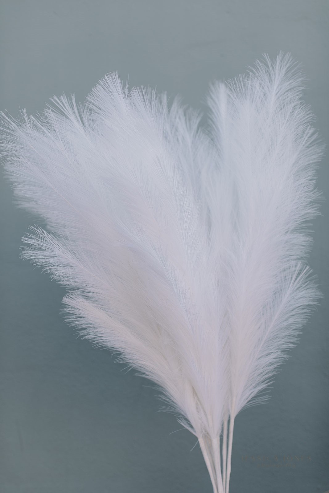 Large Faux Pampas Grass - White