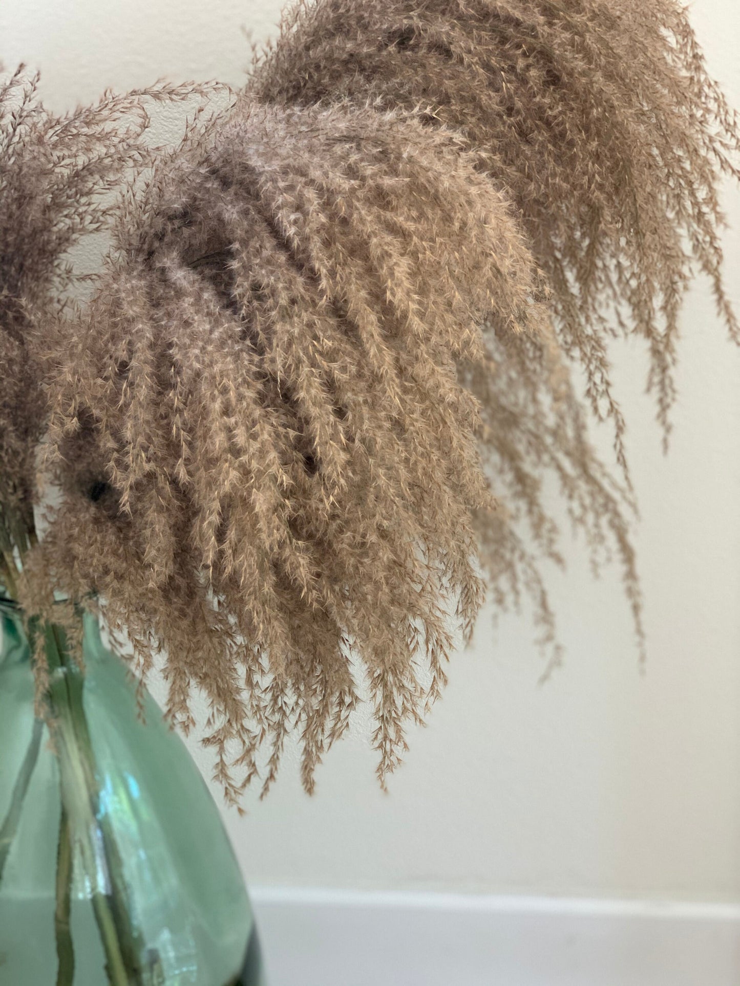 Large Droopy Brown Natural Pampas Grass