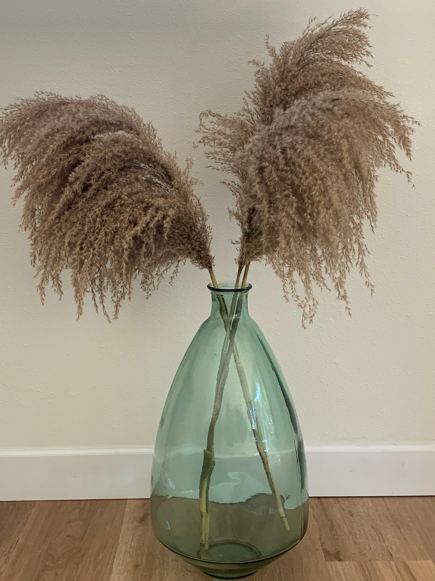 Large Droopy Brown Natural Pampas Grass