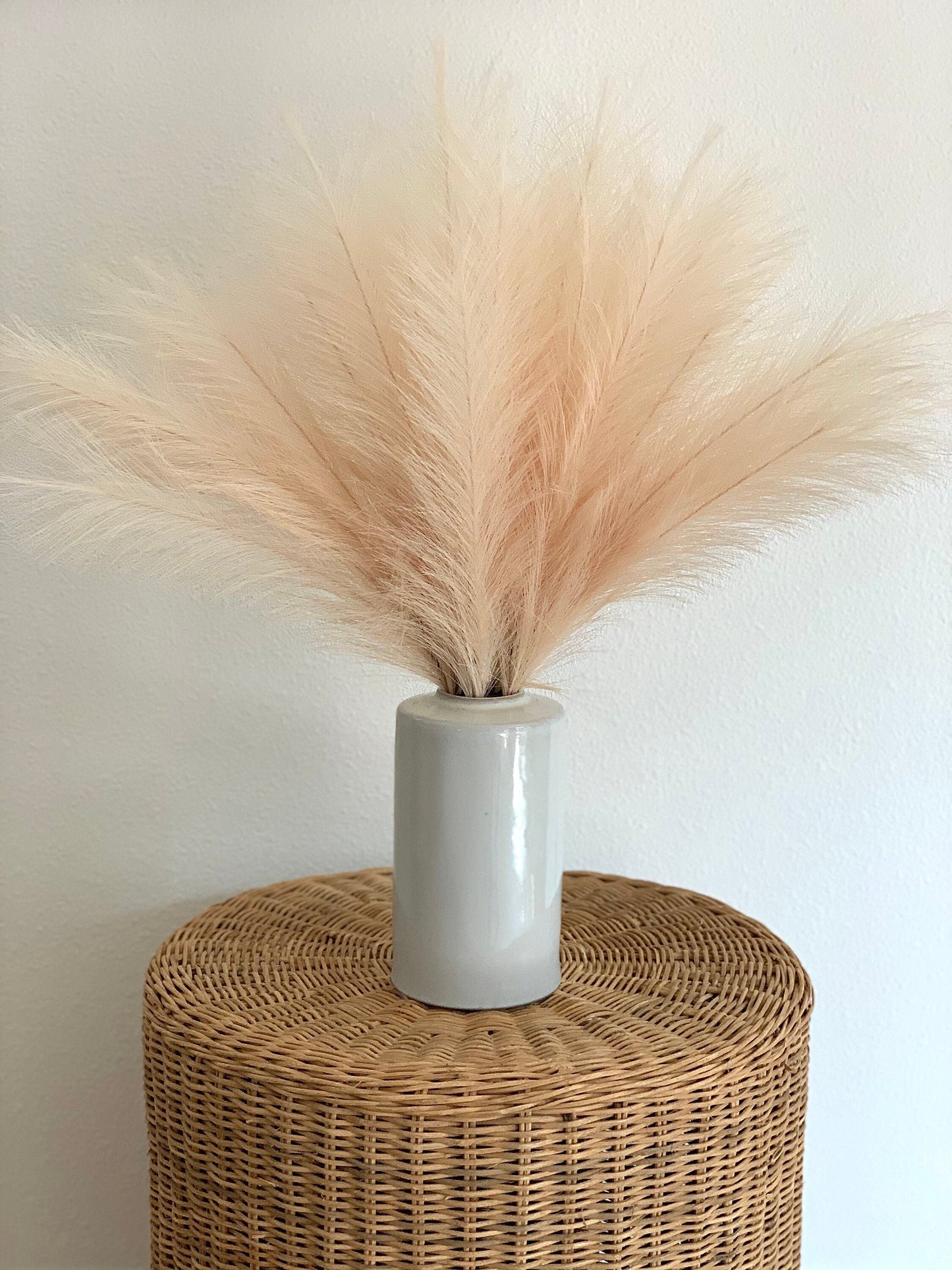 2ft Faux Tabletop Pampas Grass Artificial - Ivory