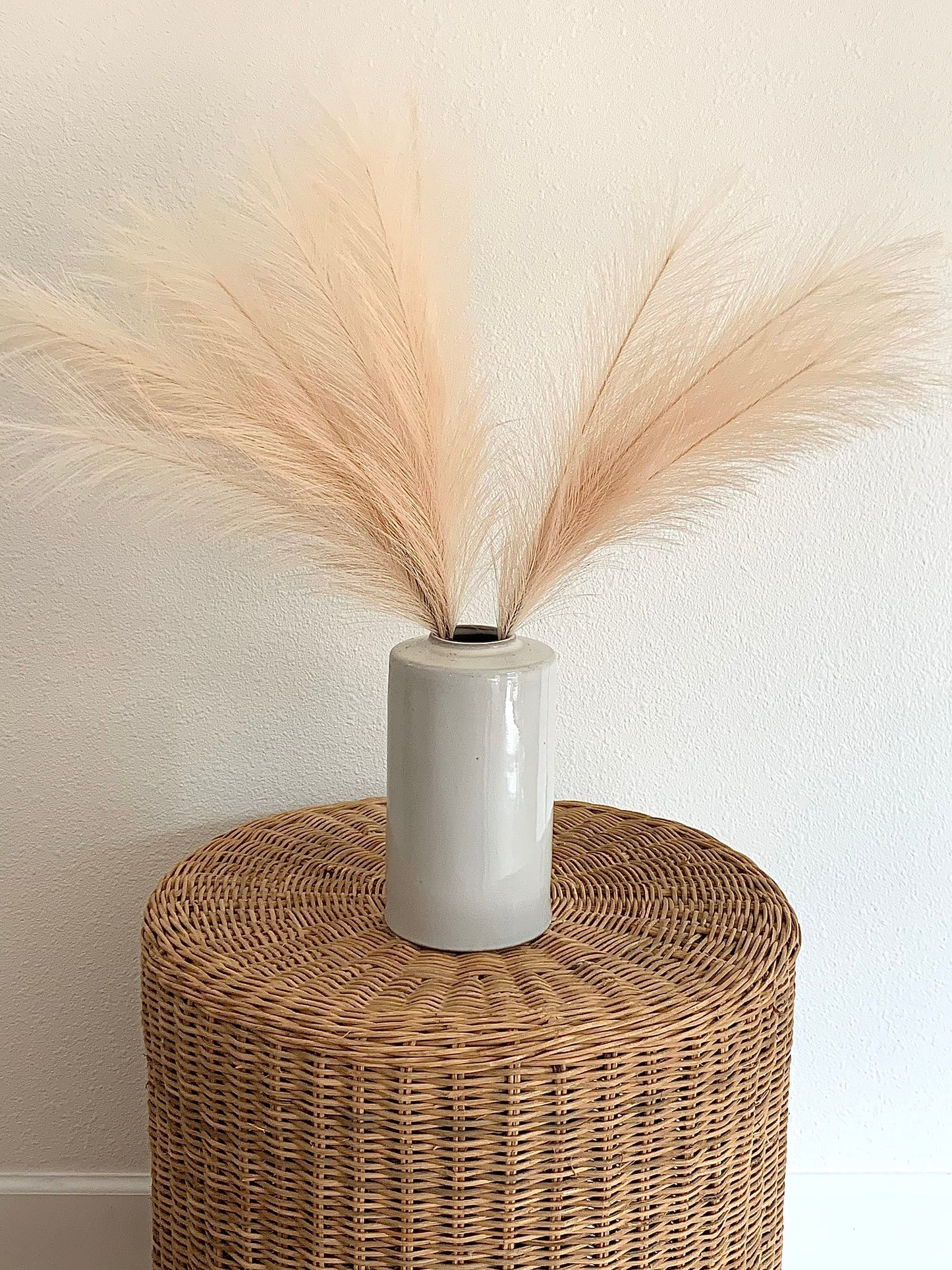 2ft Faux Tabletop Pampas Grass Artificial - Ivory