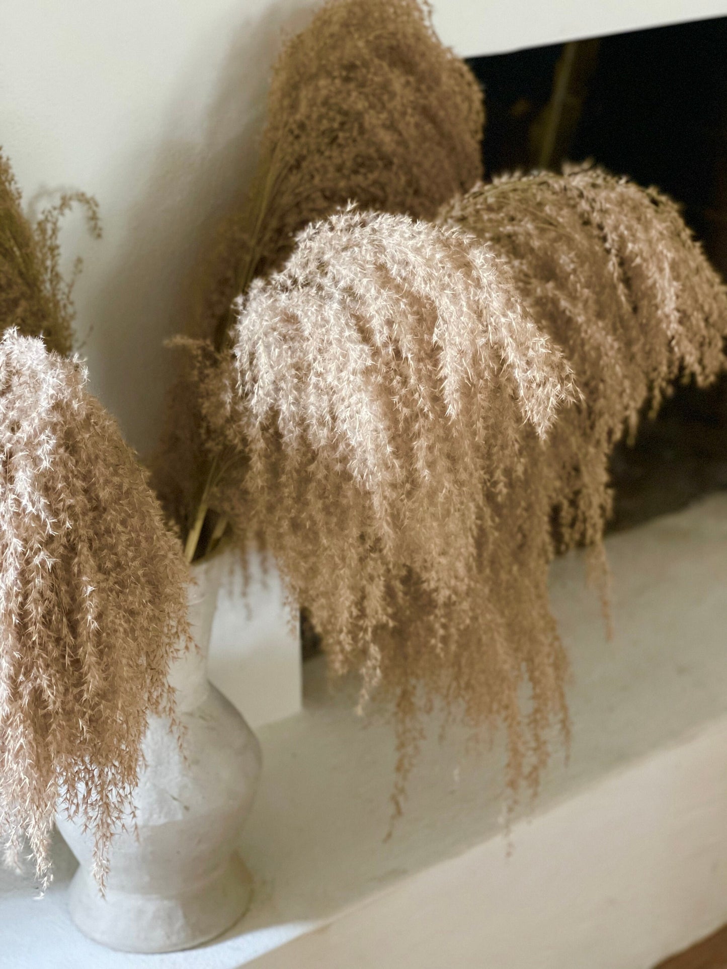 Large Droopy Brown Natural Pampas Grass