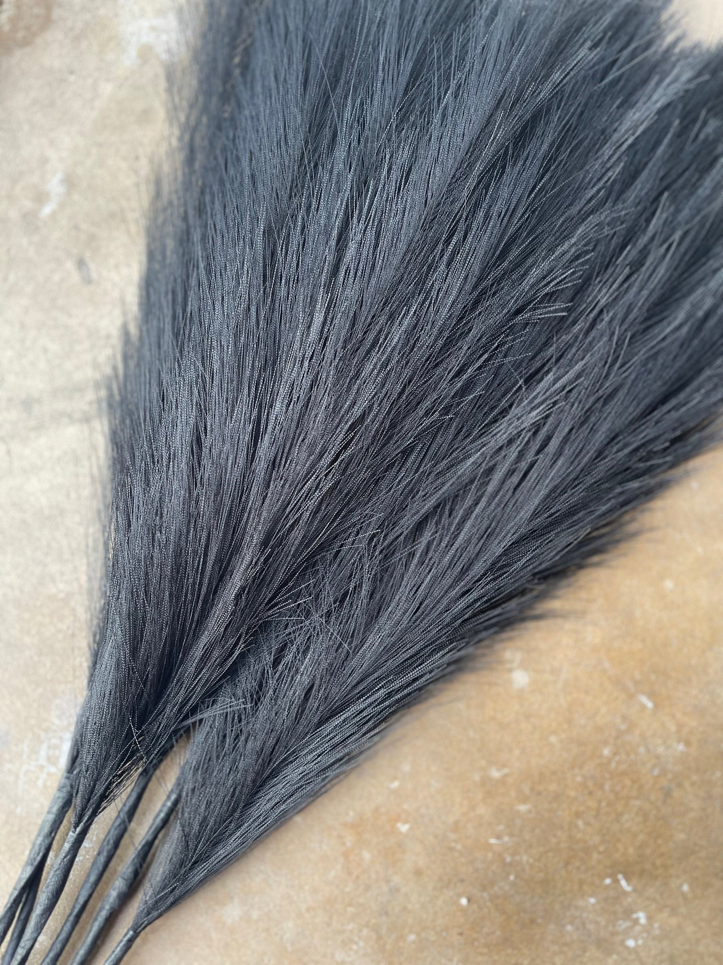 2ft Faux Tabletop Pampas Grass Artificial - Black