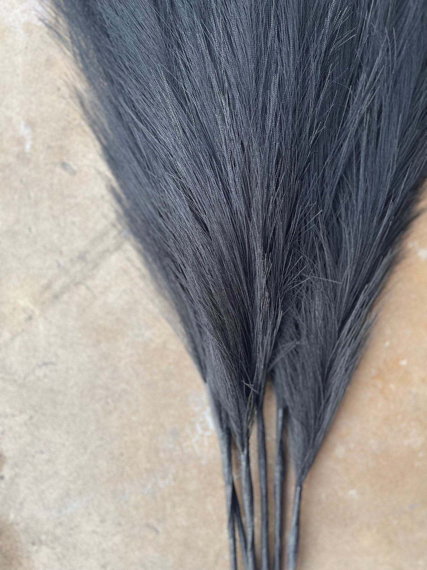2ft Faux Tabletop Pampas Grass Artificial - Black