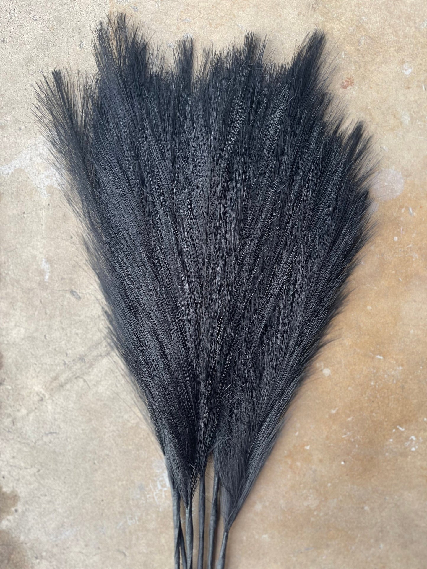 2ft Faux Tabletop Pampas Grass Artificial - Black