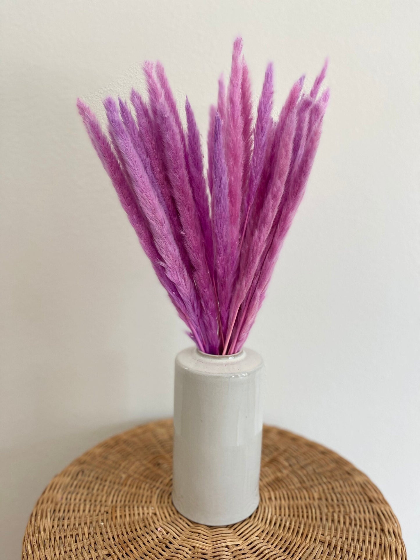 Thin 2FT Magenta Ombre Pampas Grass