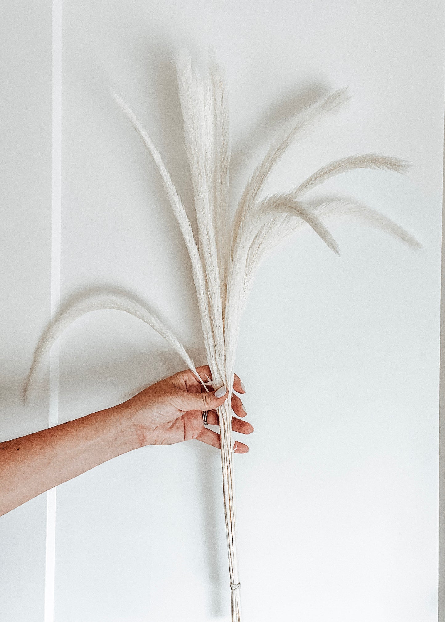 White/Ivory Monkey Tails Preserved