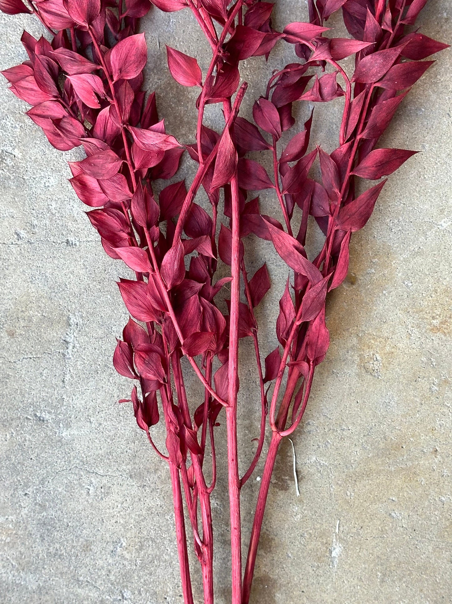 Dried and Preserved Berry Wine Ruscus
