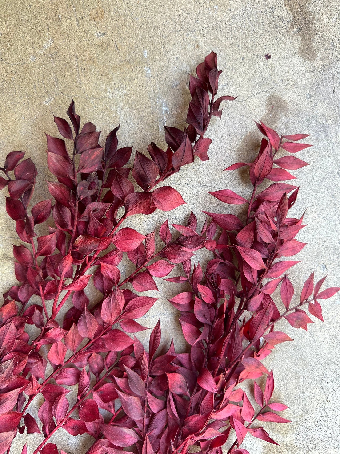 Dried and Preserved Berry Wine Ruscus