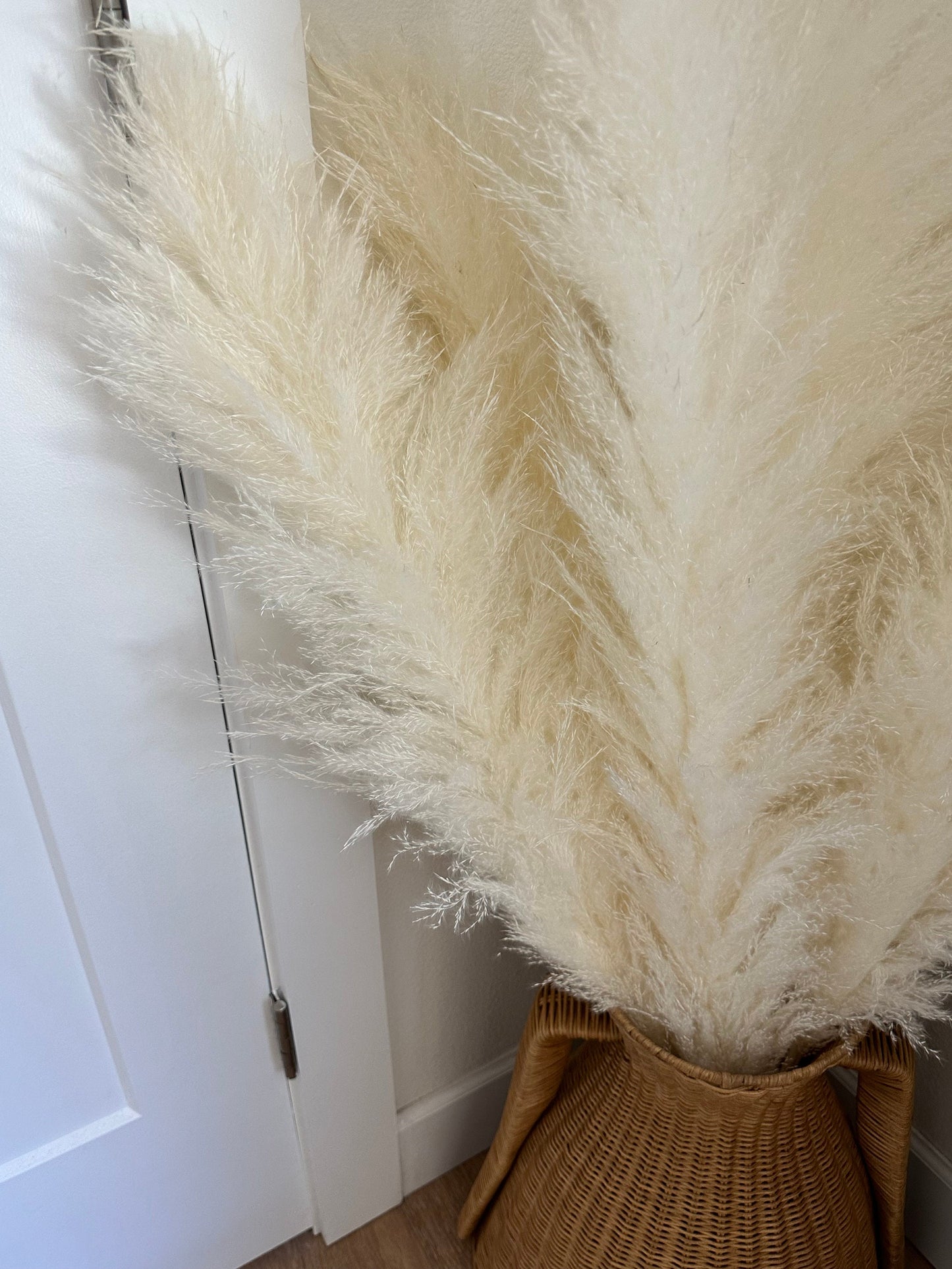 Large 4 FT White/Ivory Fluffy Pampas Grass