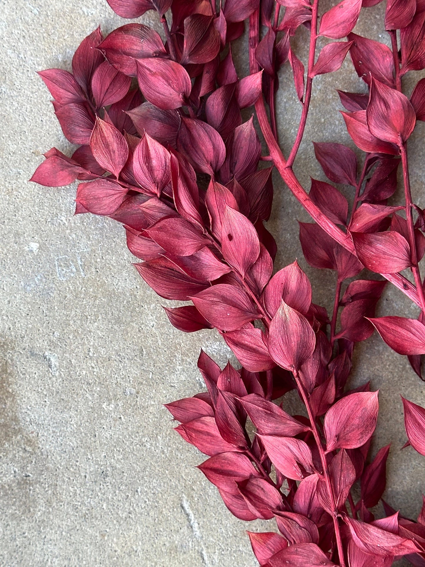 Dried and Preserved Berry Wine Ruscus