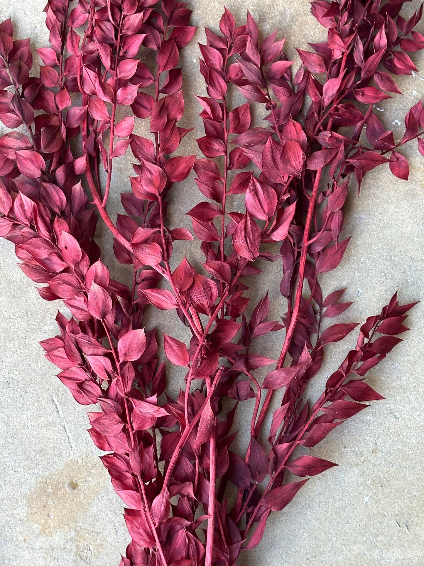Dried and Preserved Berry Wine Ruscus