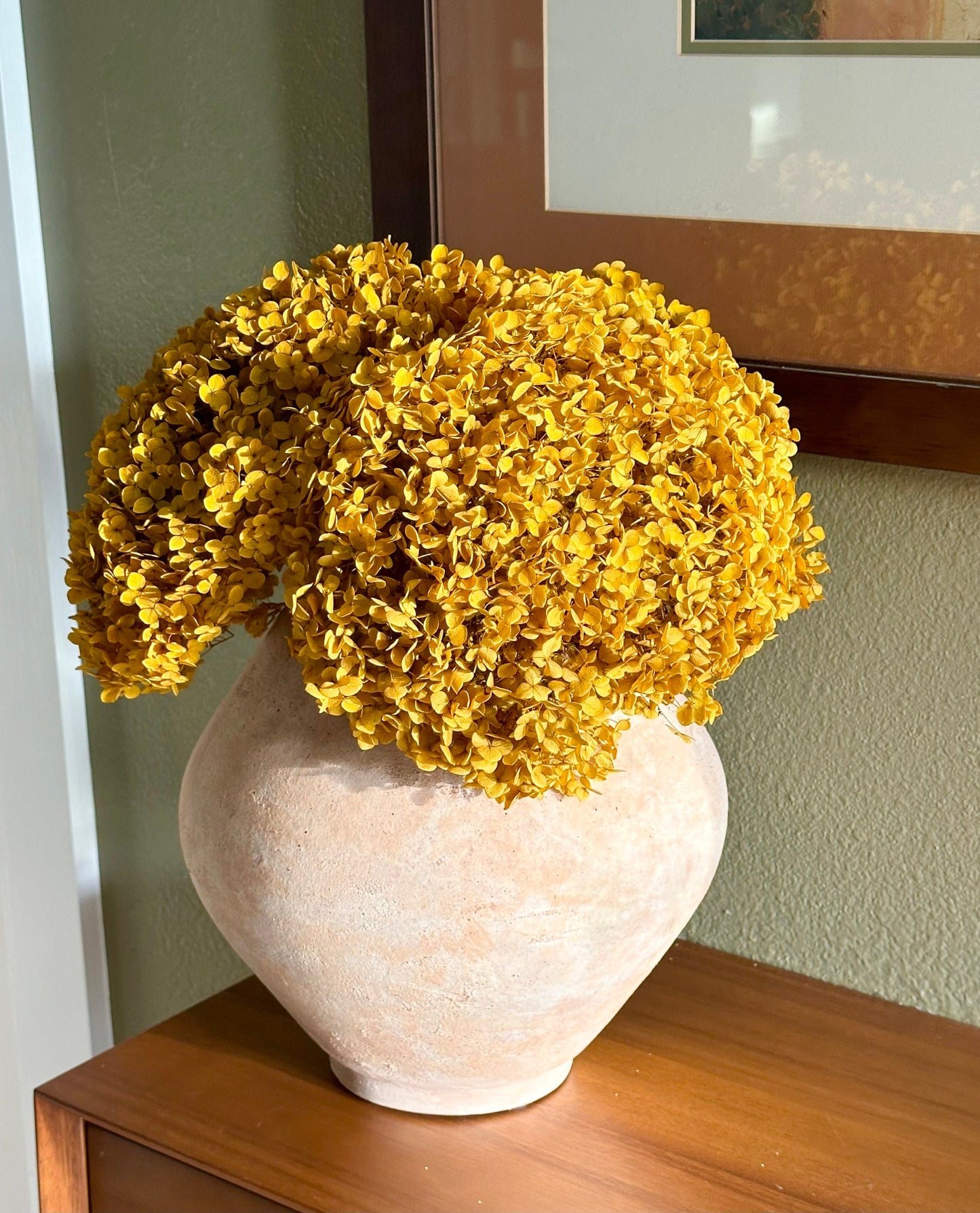 Real Hydrangea Preserved - Large Mustard Gold