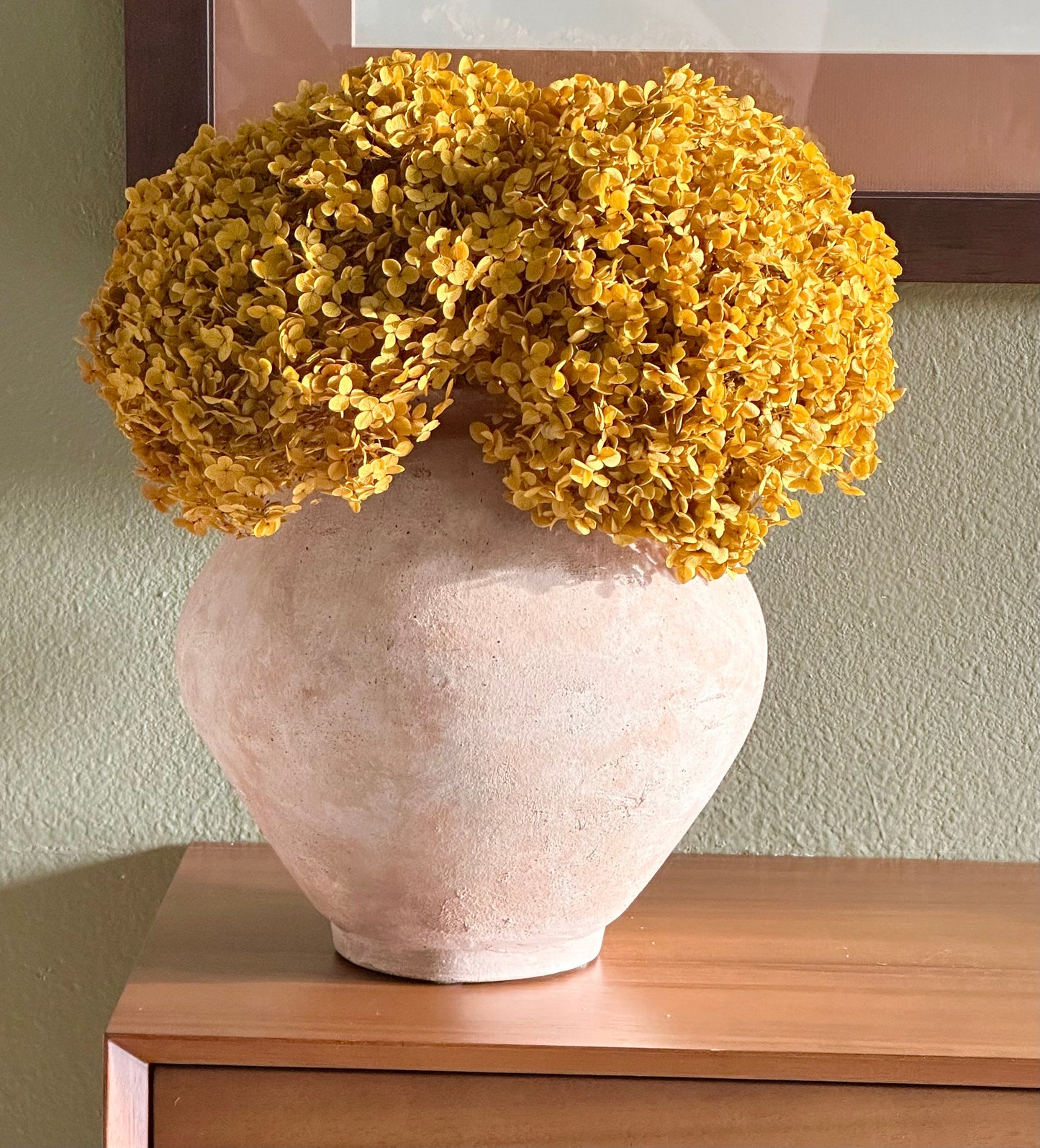 Real Hydrangea Preserved - Large Mustard Gold