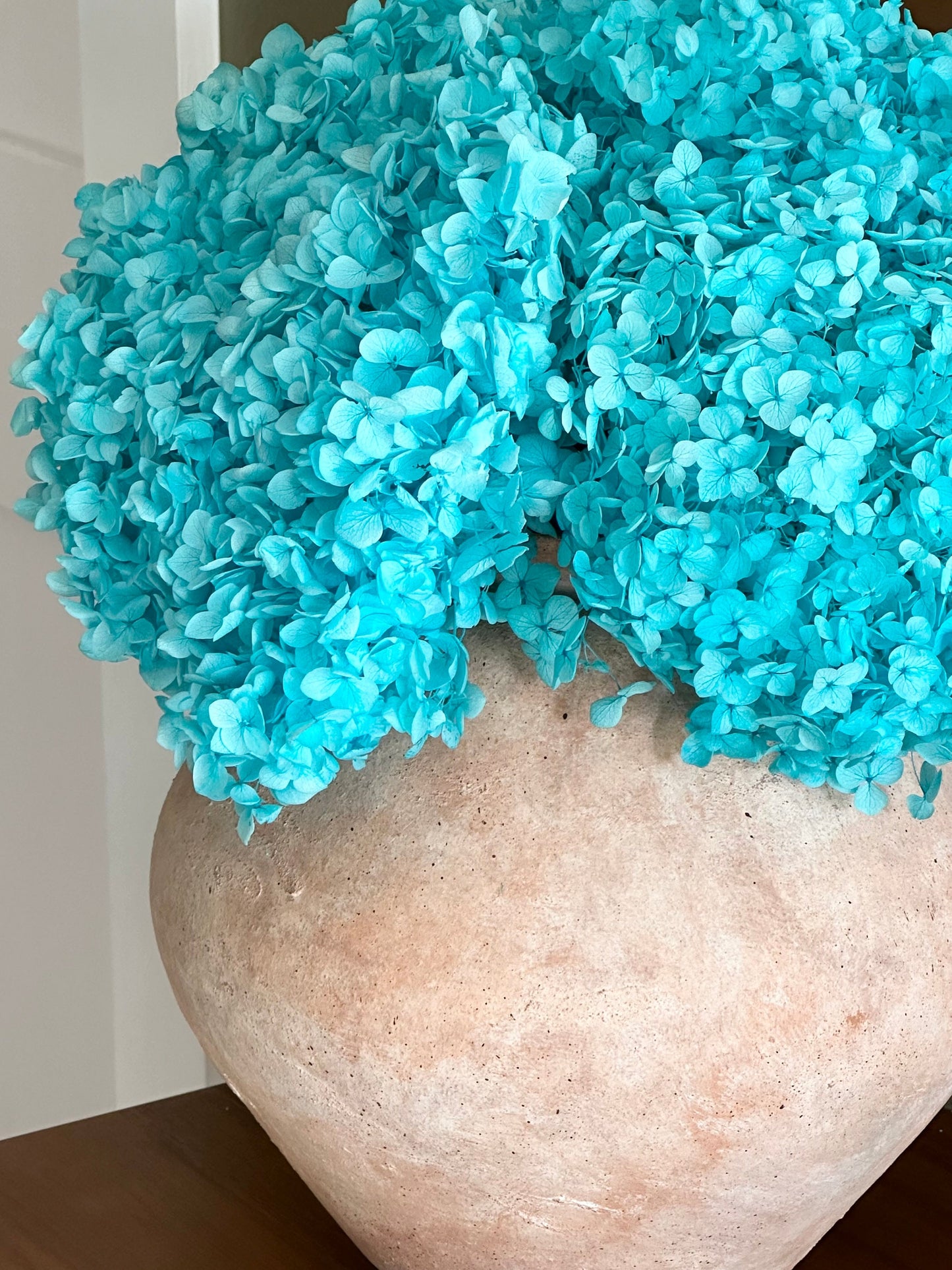 Real Hydrangea Preserved - Large Bright Blue