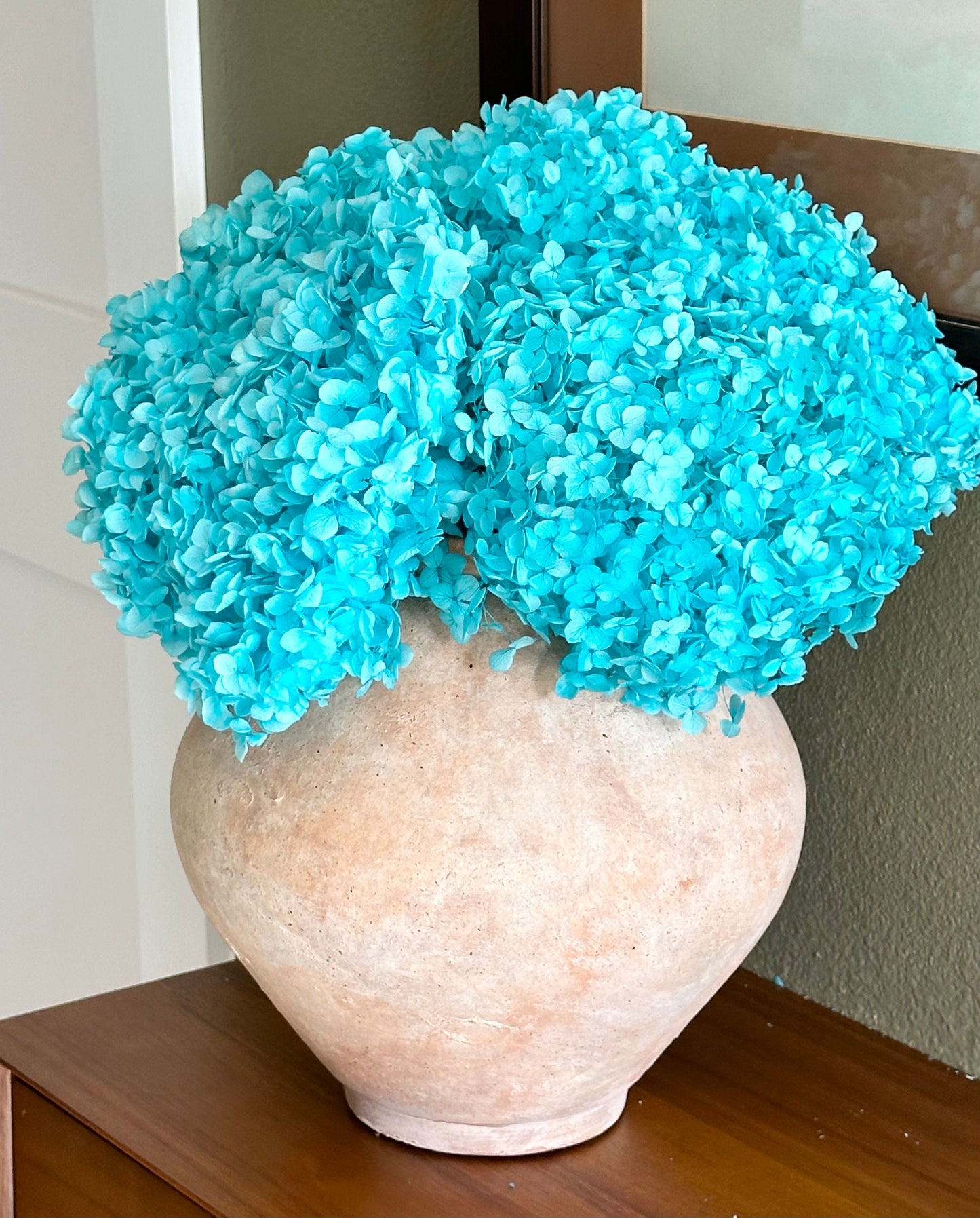 Real Hydrangea Preserved - Large Bright Blue