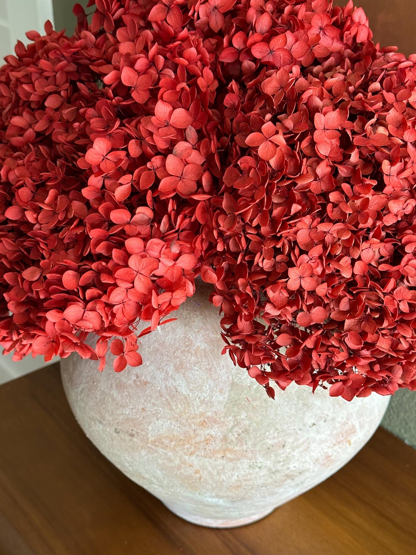 Real Hydrangea Preserved- Large Red