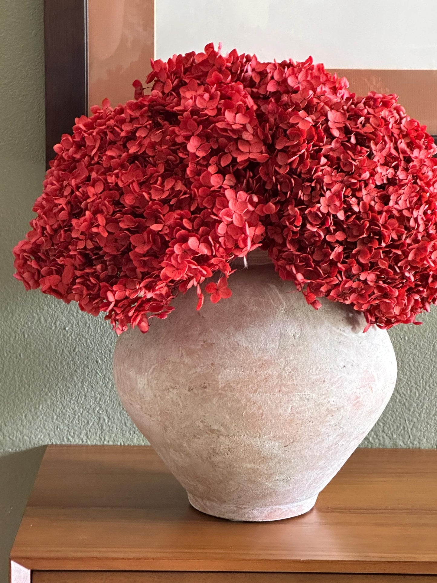 Real Hydrangea Preserved- Large Red