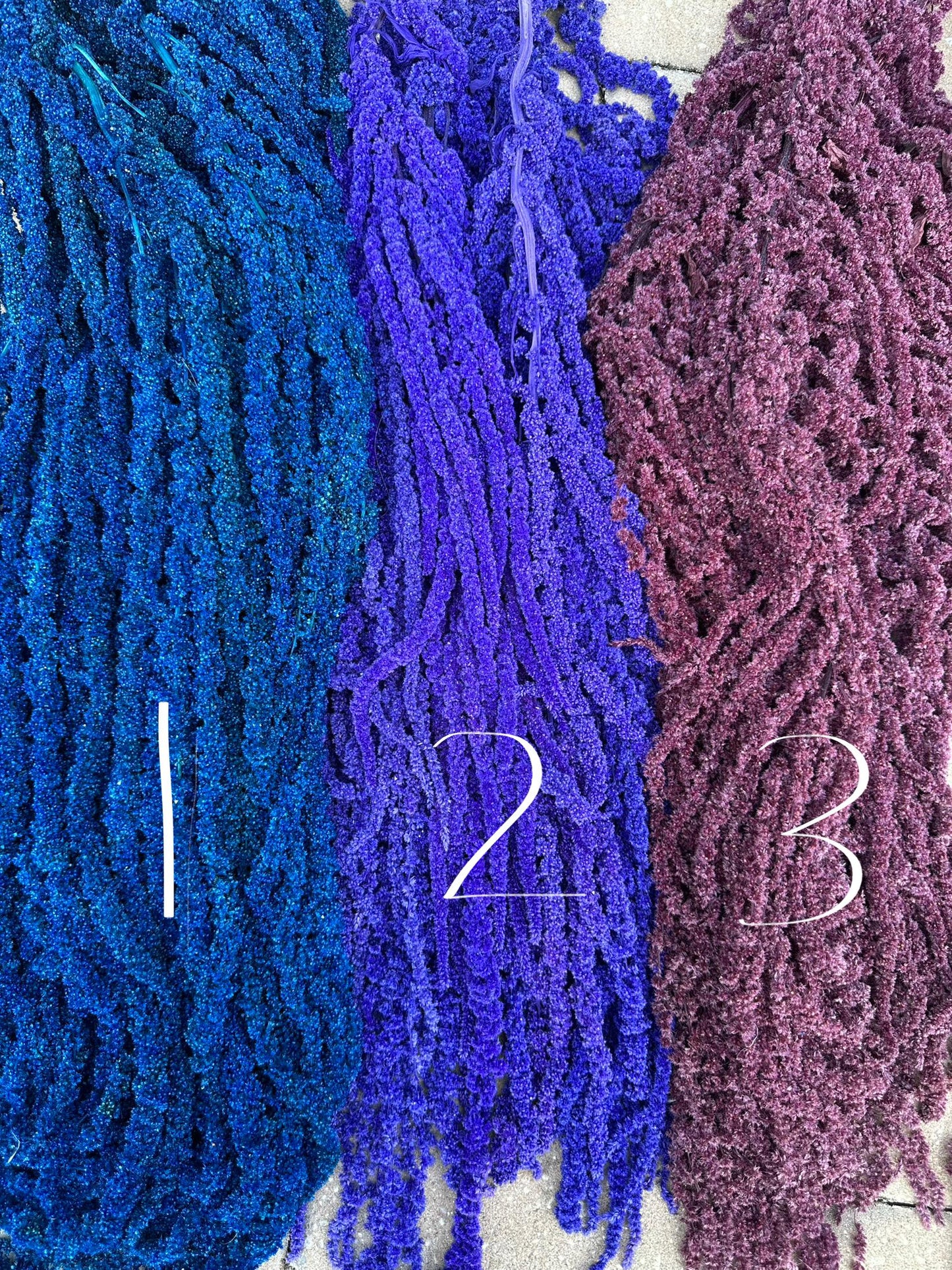 Hanging Amaranthus - Plum