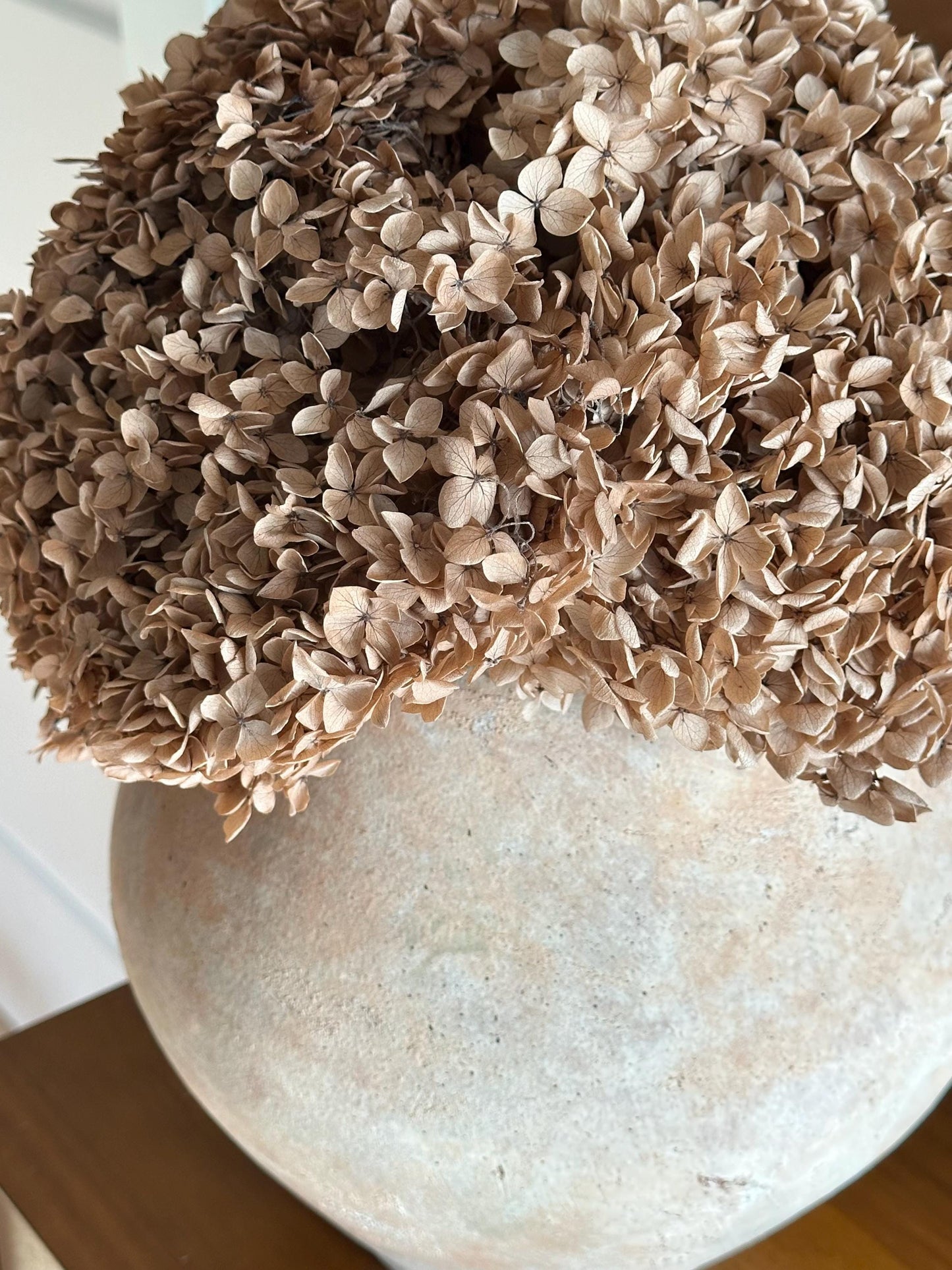 Real Hydrangea Preserved- Large Desert Brown
