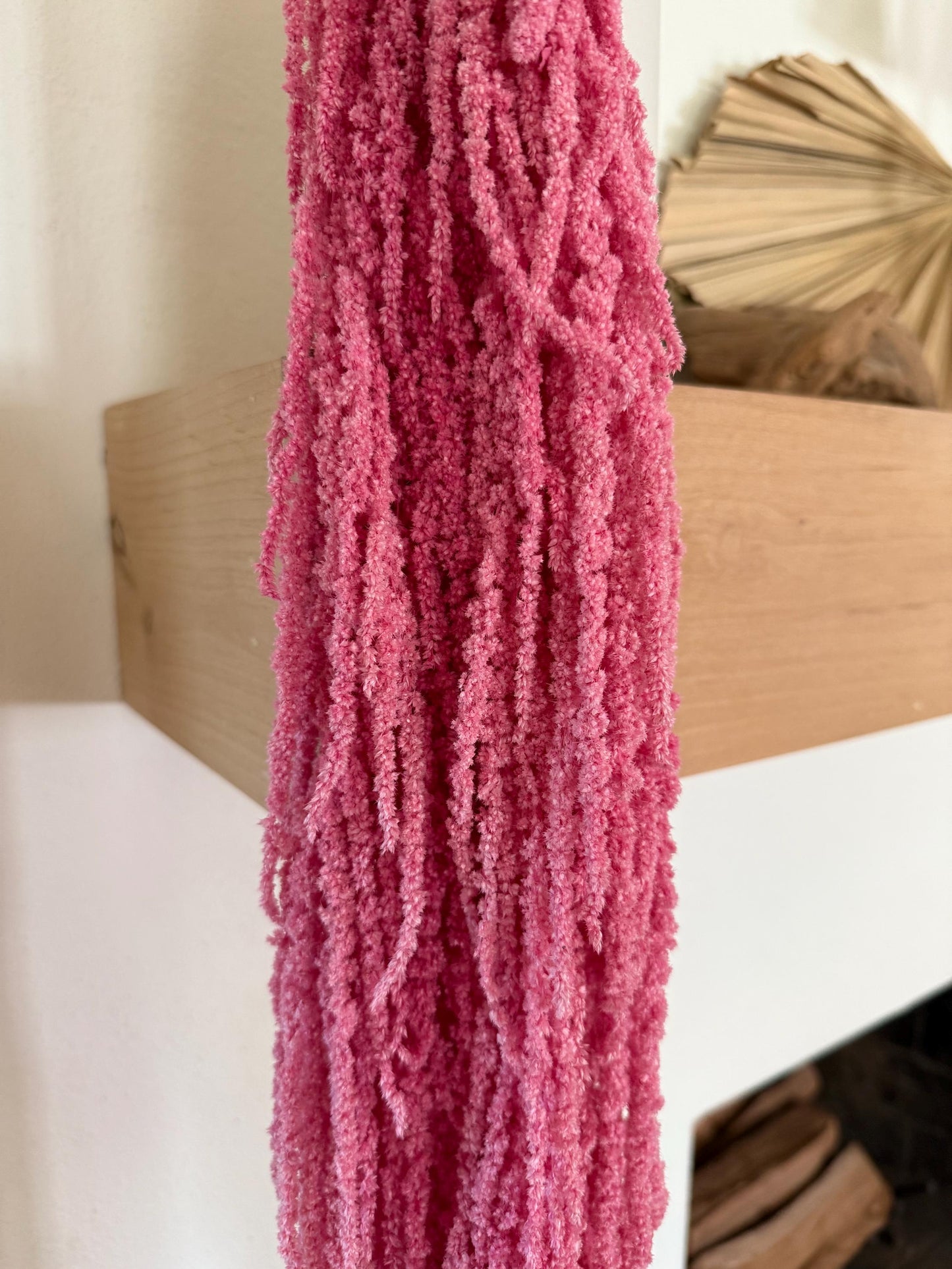 Hanging Amaranthus - Pink