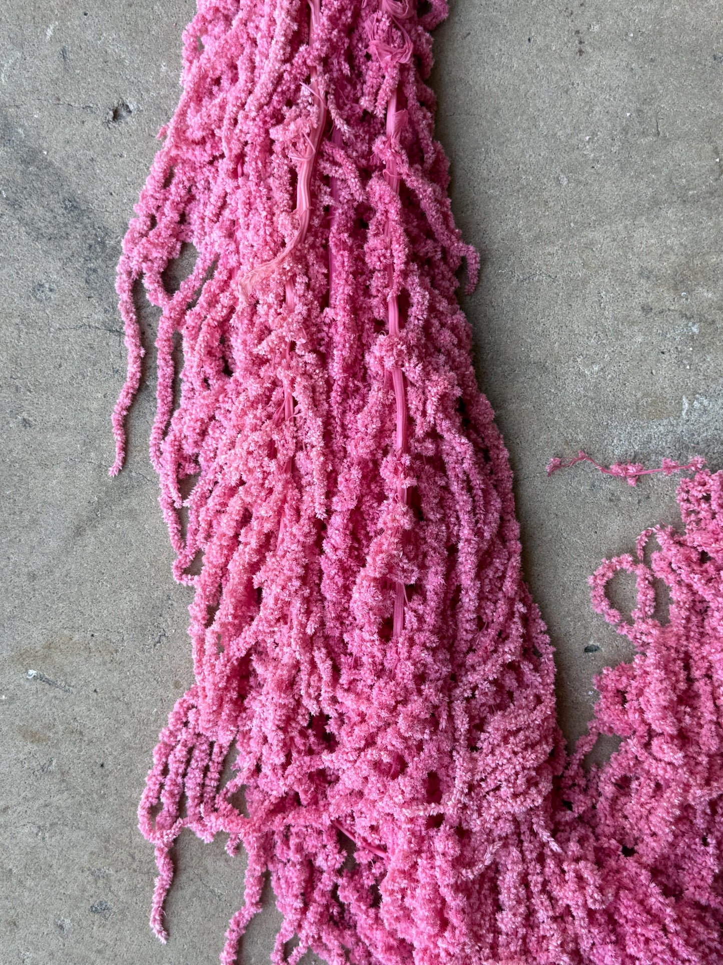 Hanging Amaranthus - Pink
