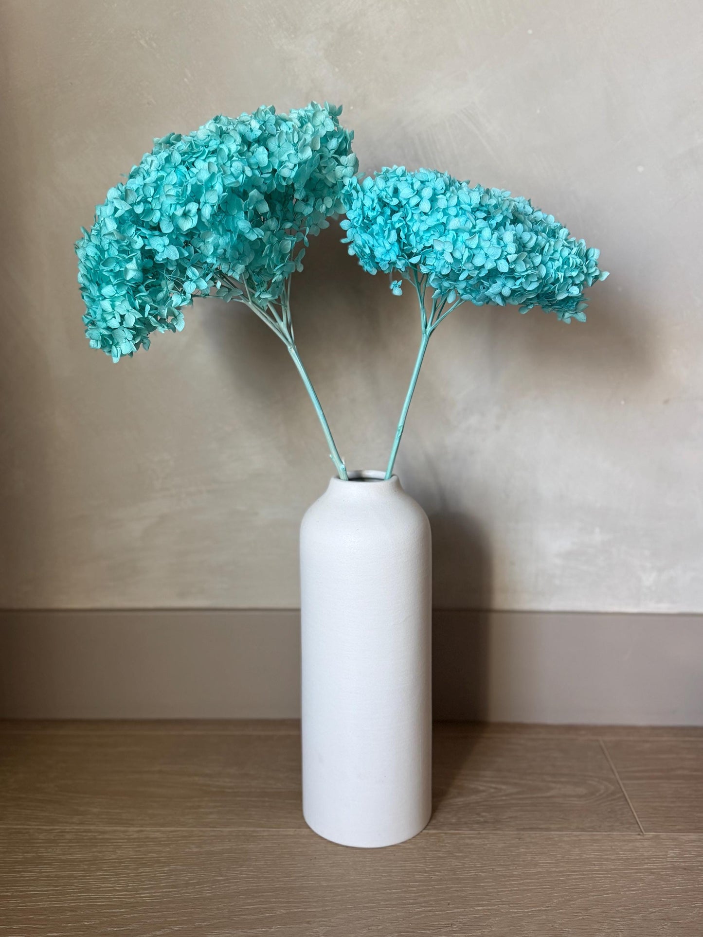Real Hydrangea Preserved- Large Bright Blue