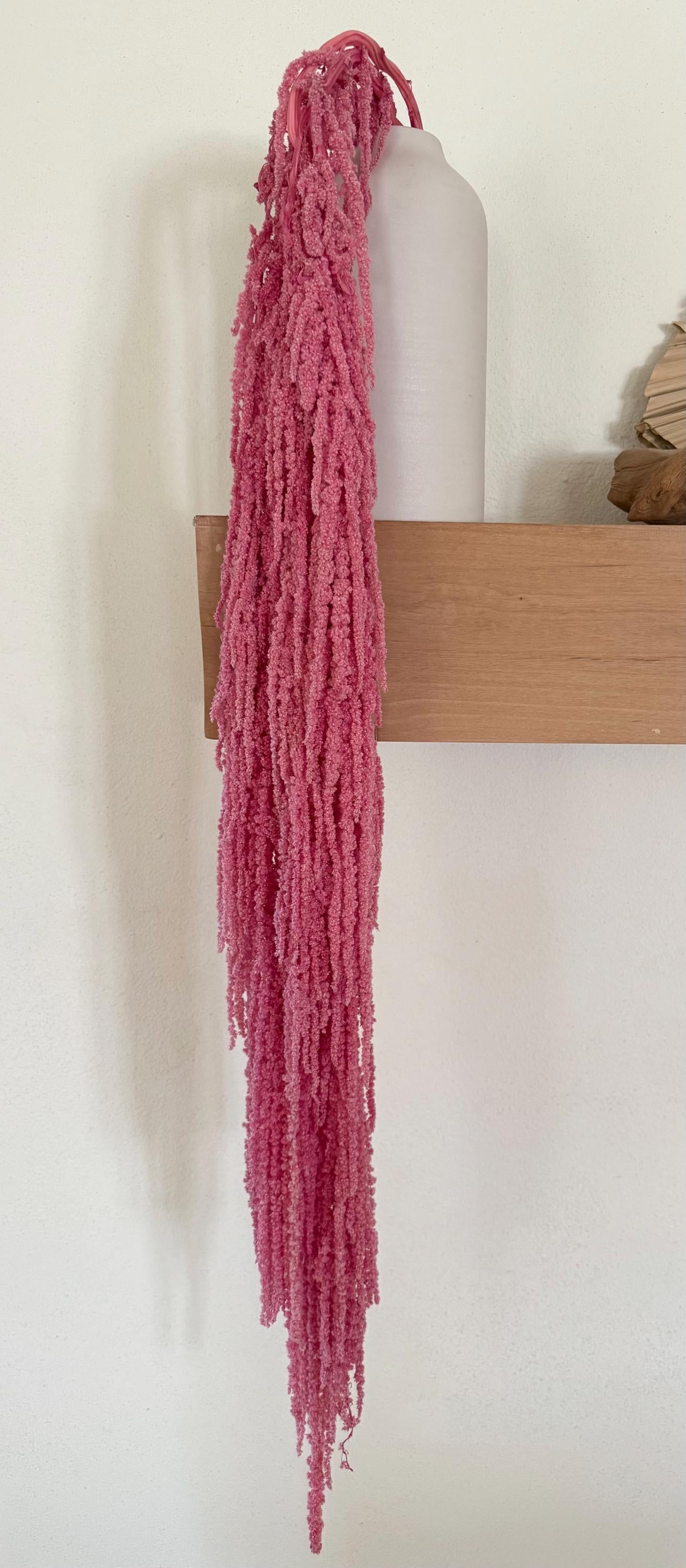 Hanging Amaranthus - Pink