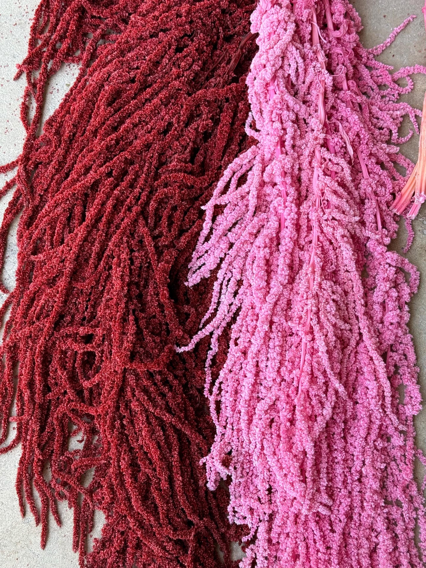Hanging Amaranthus - Pink
