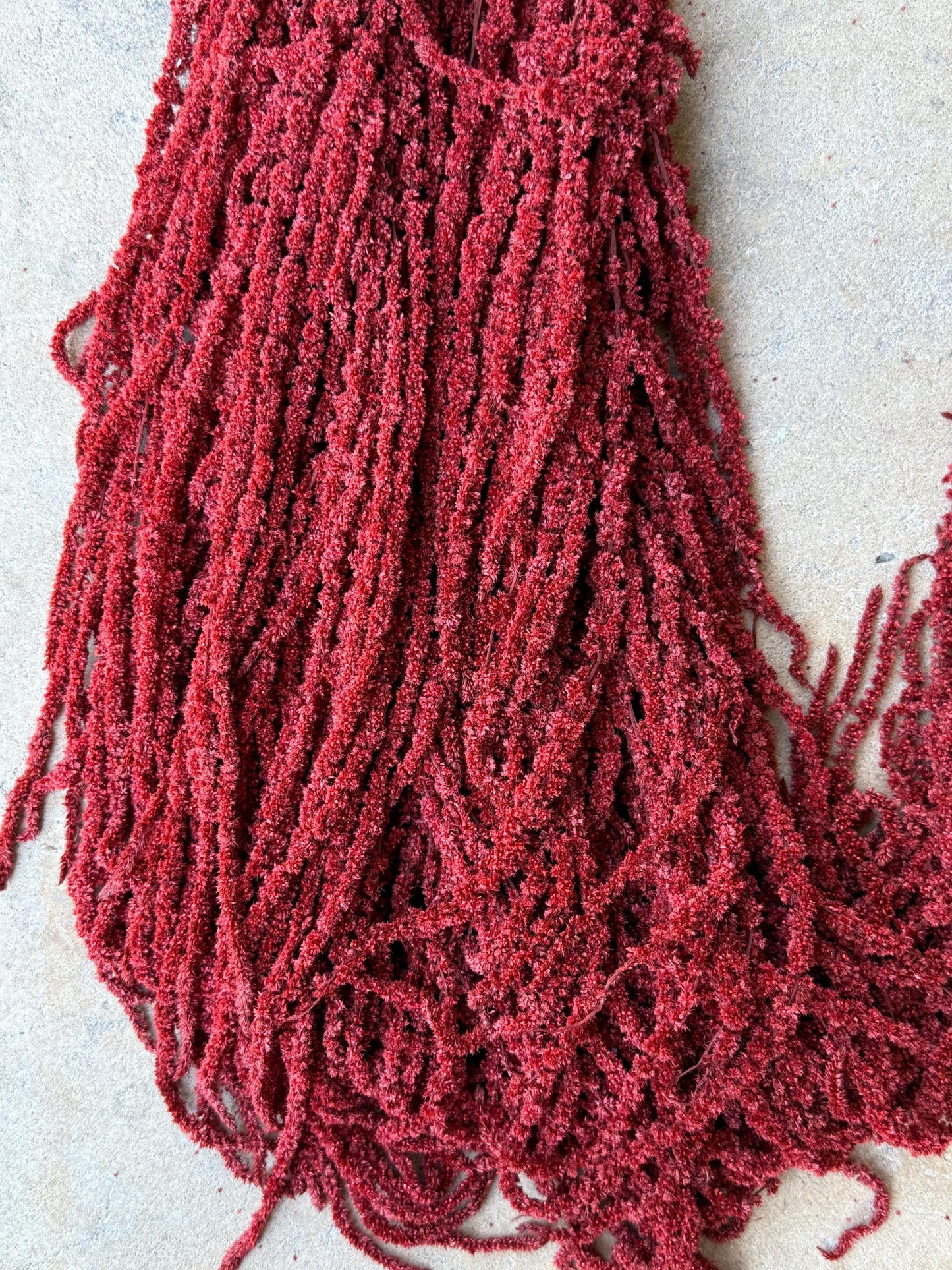 Hanging Amaranthus - Deep Red