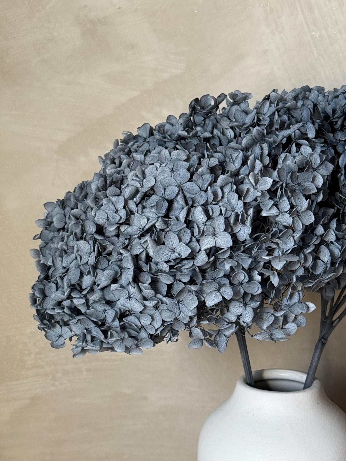 Real Hydrangea Preserved- Large Dusty Blue