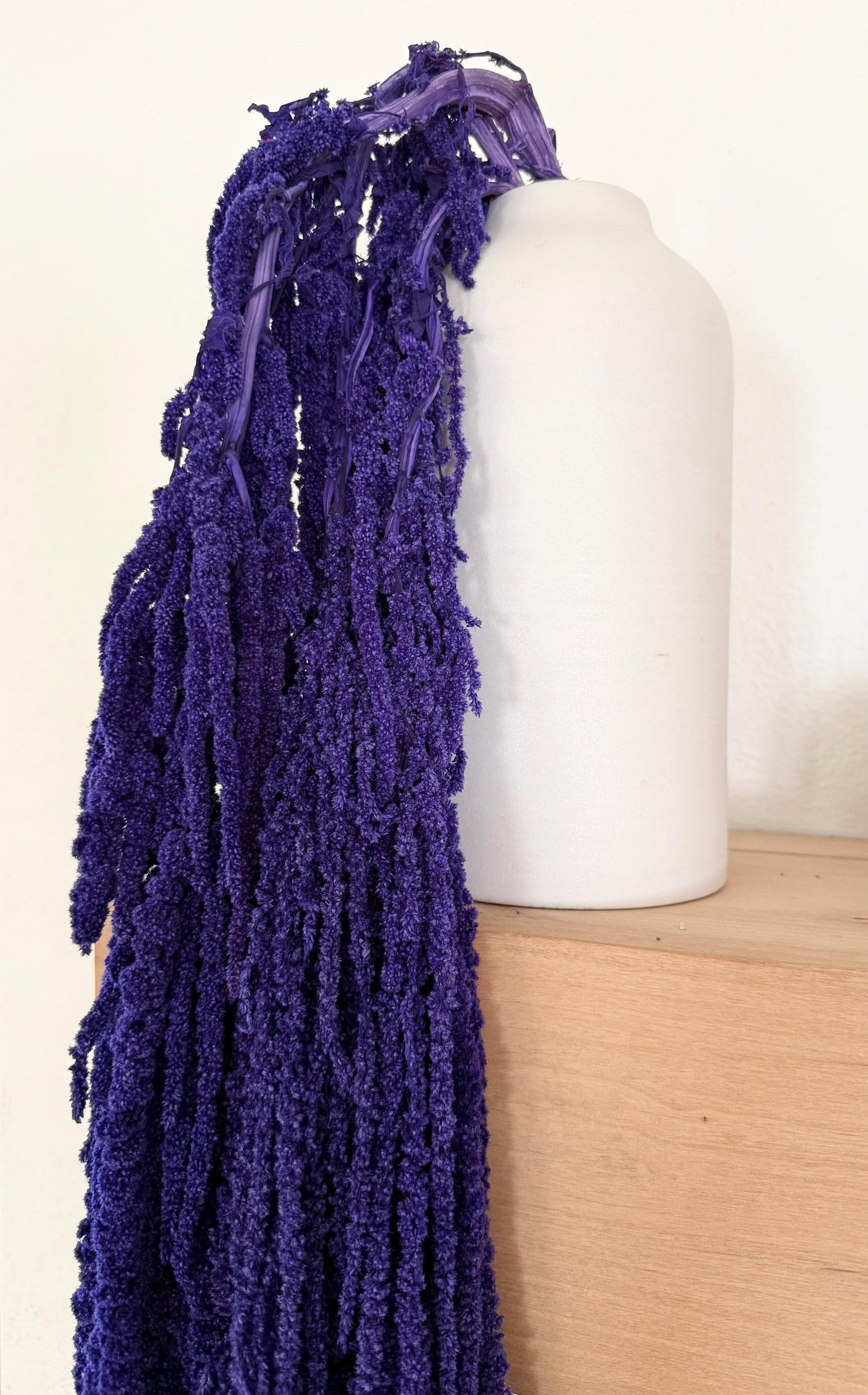 Hanging Amaranthus - Purple Tanzanite