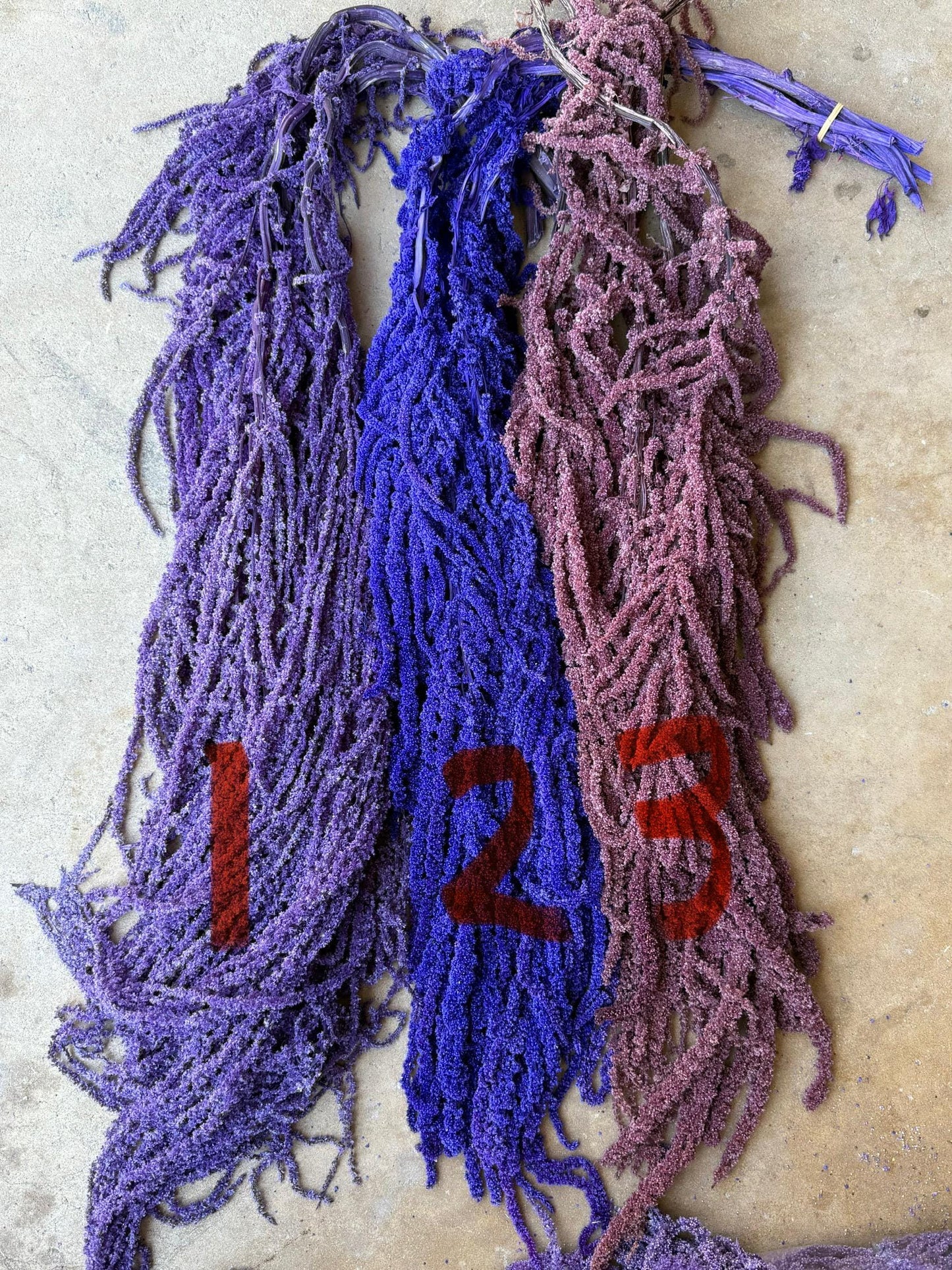 Hanging Amaranthus - Purple Tanzanite