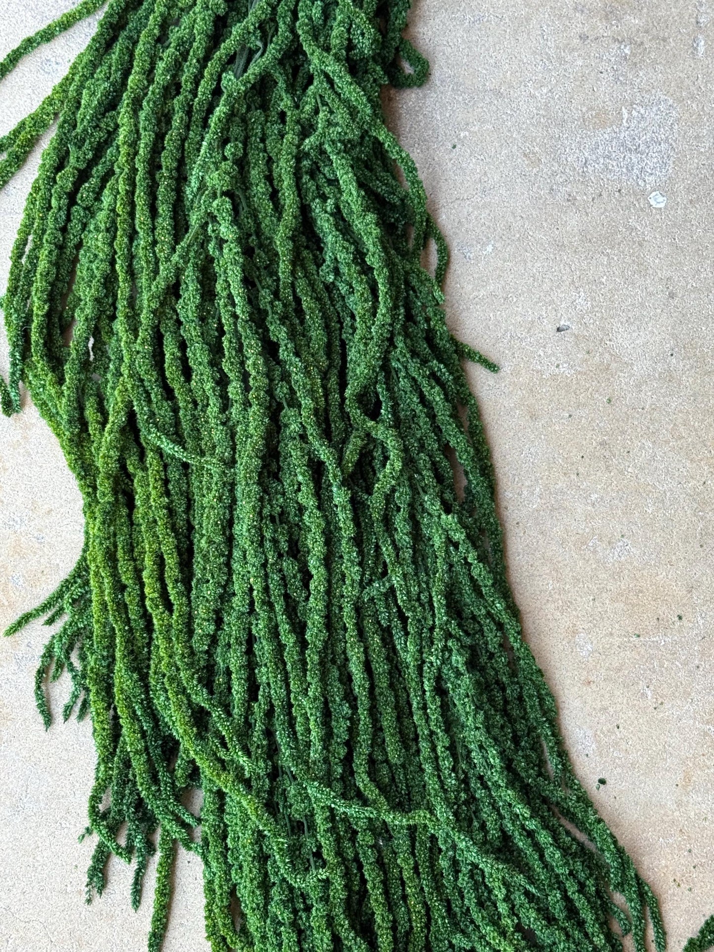 Hanging Amaranthus - Emerald Forest Green