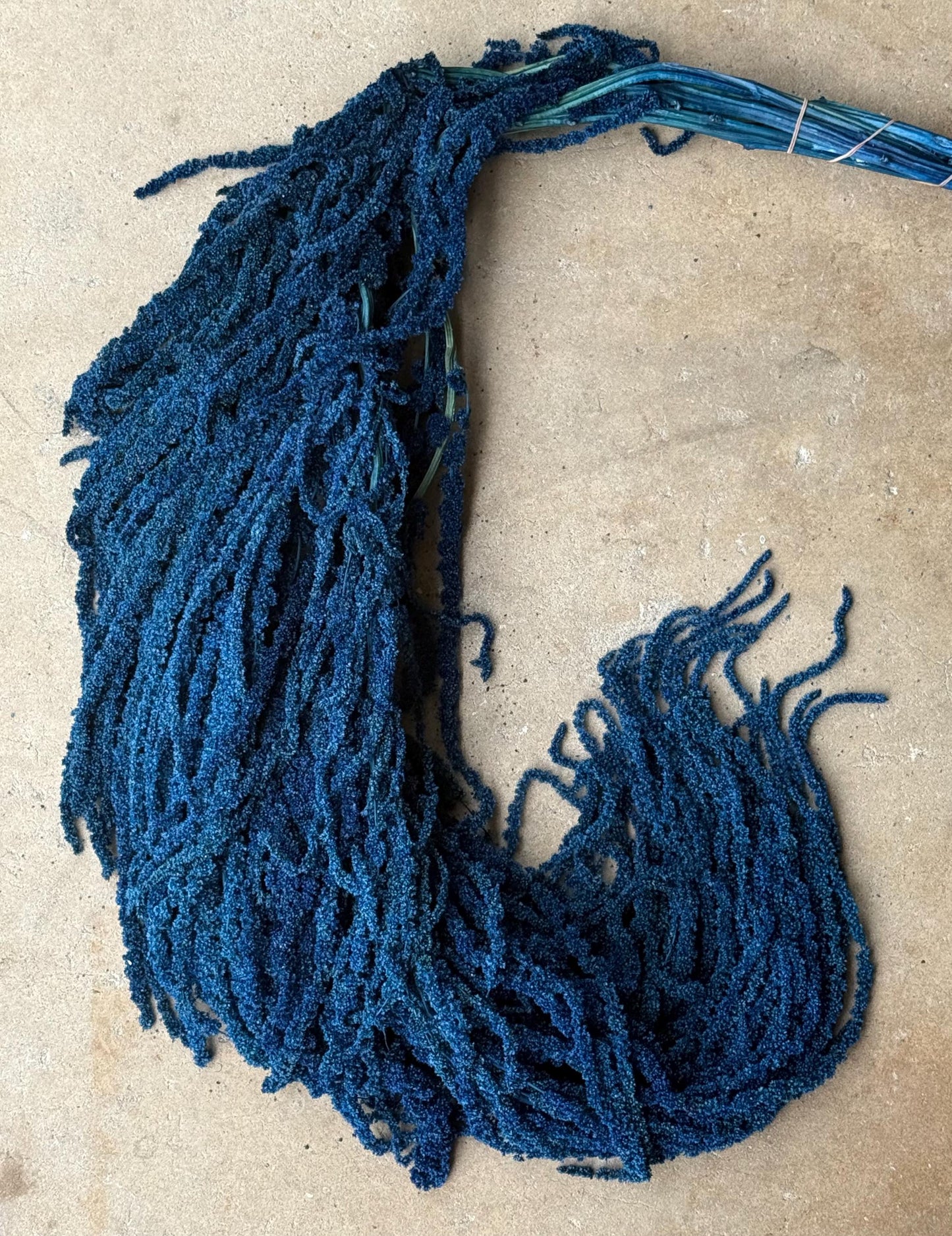 Hanging Amaranthus - Blue