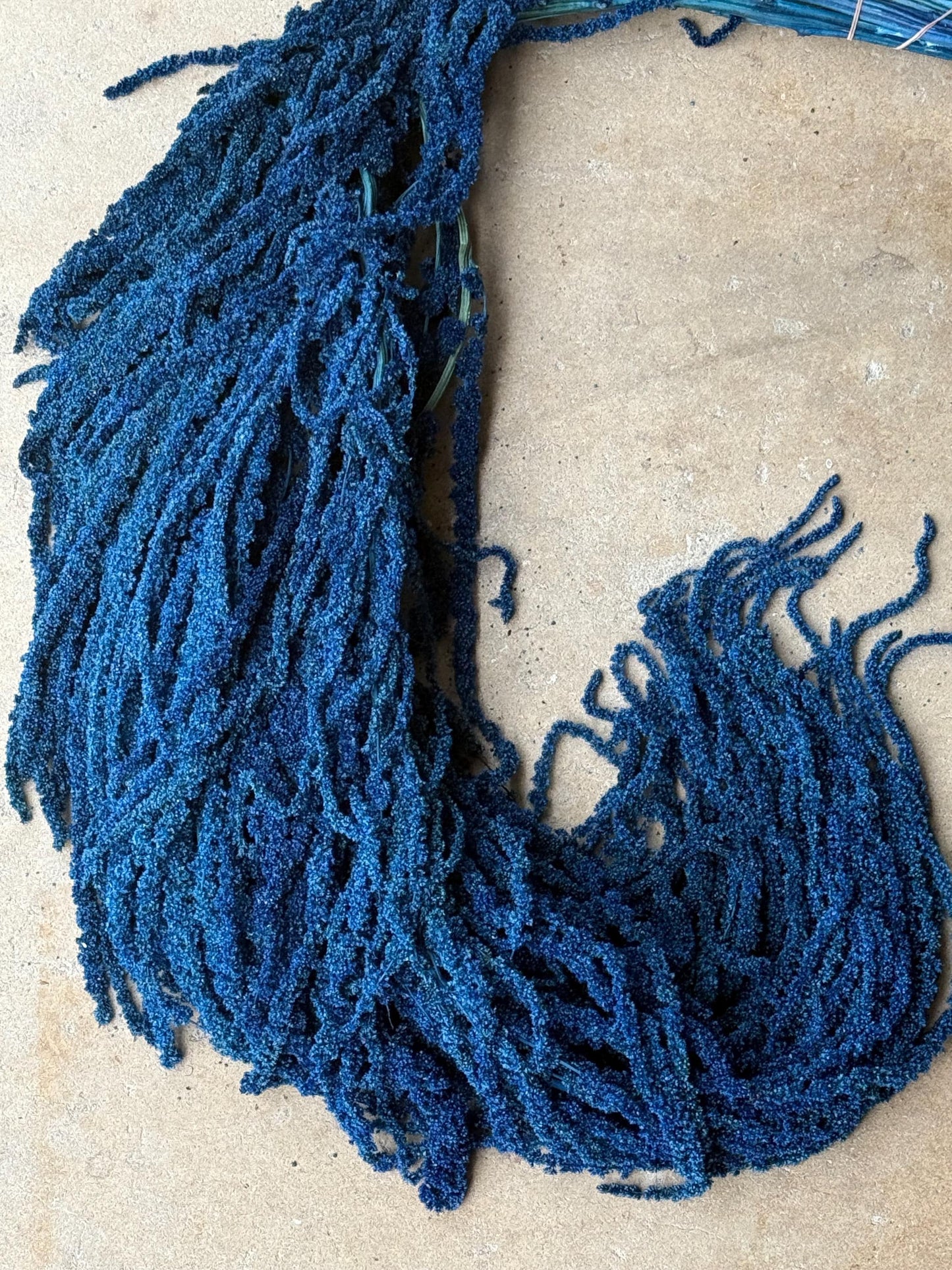 Hanging Amaranthus - Blue