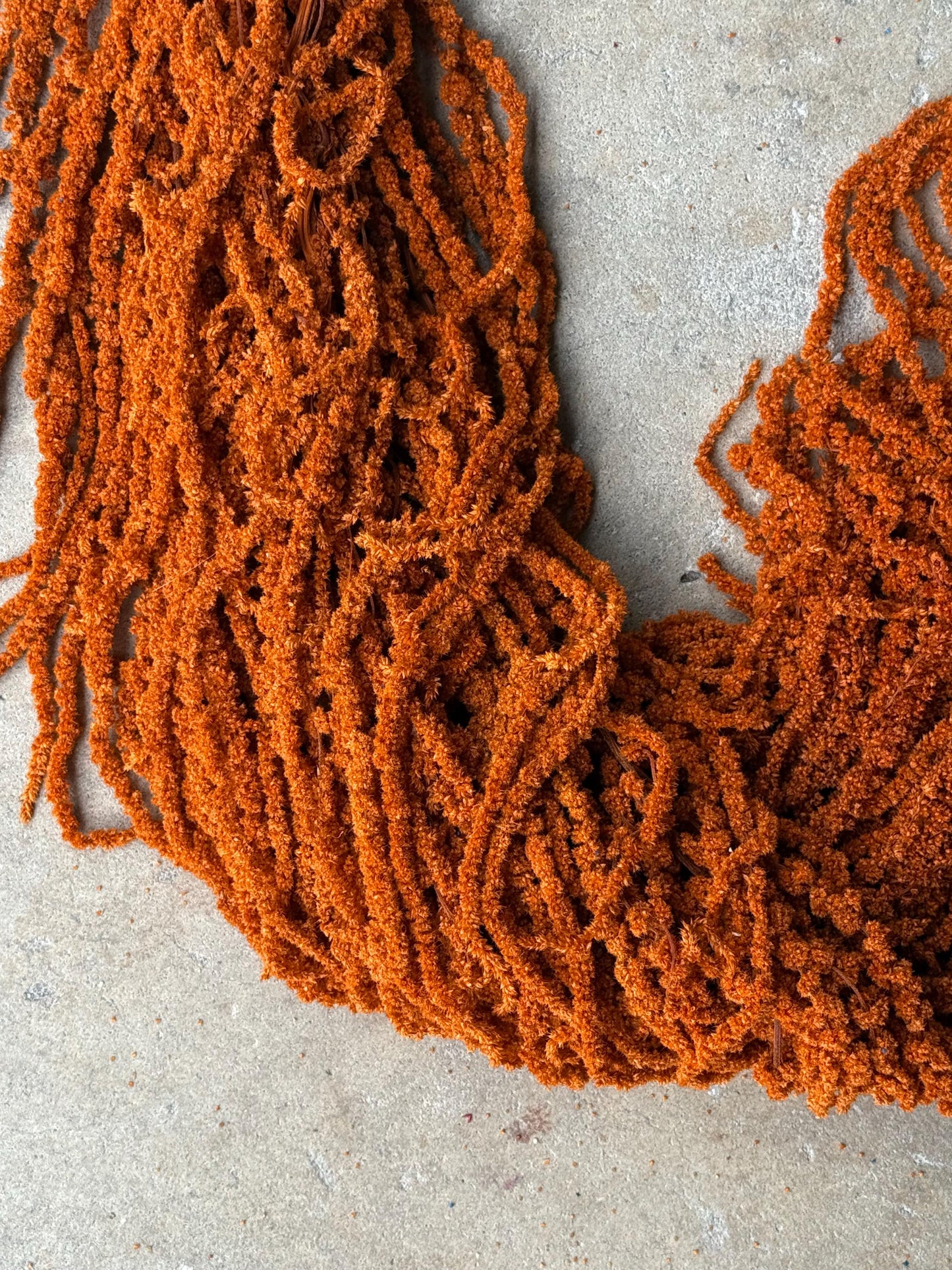 Hanging Amaranthus - Burnt Orange