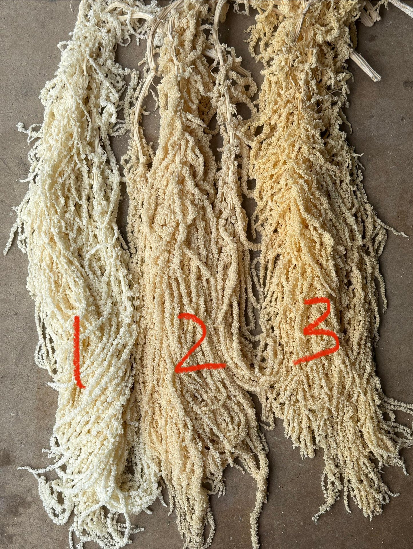 Hanging Amaranthus - Yellow