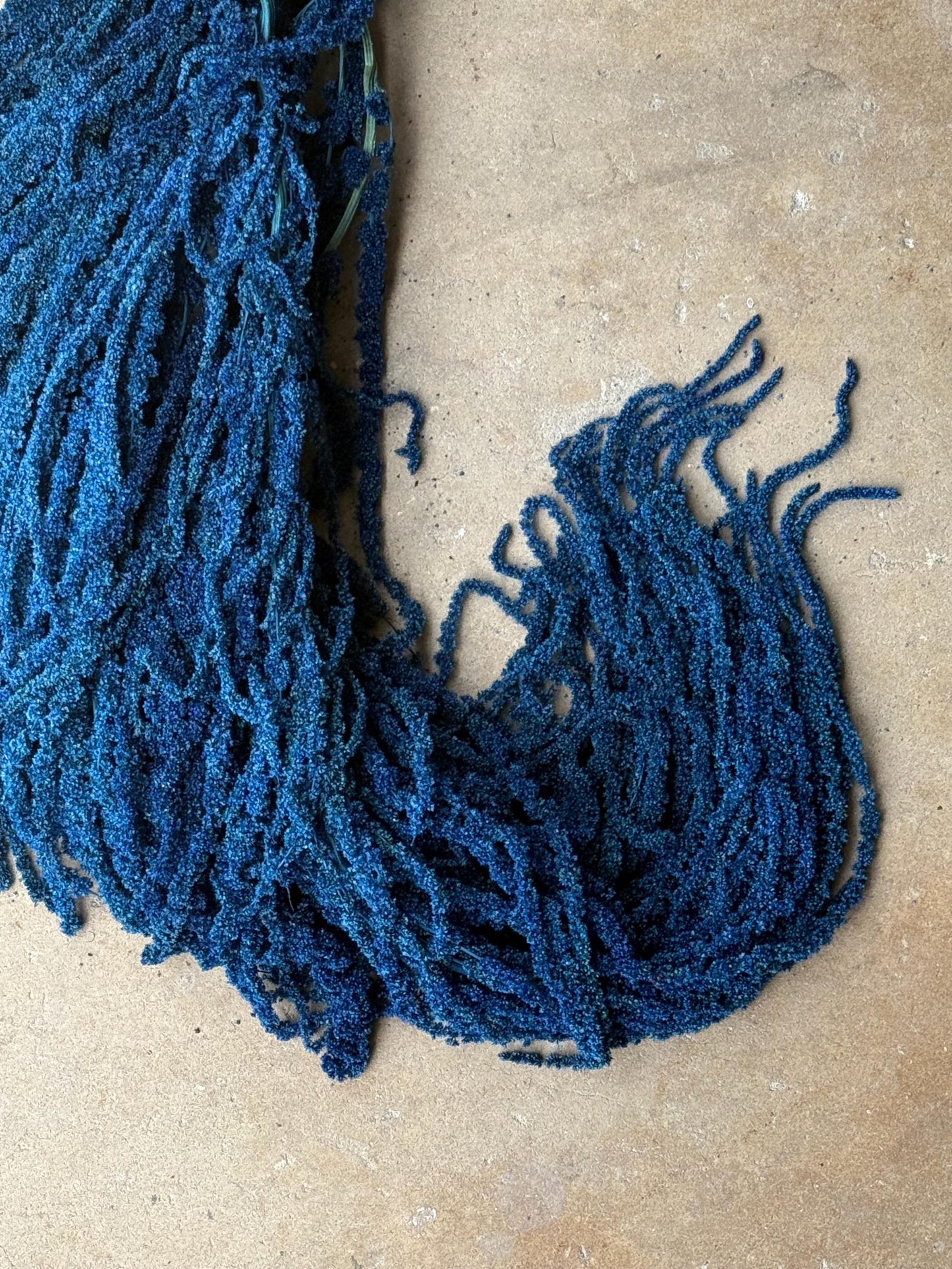 Hanging Amaranthus - Blue