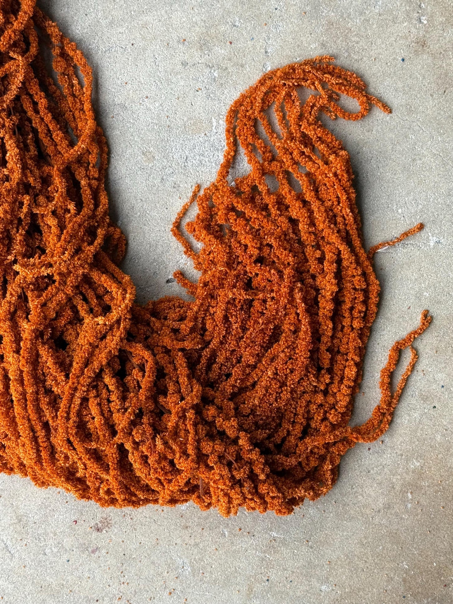 Hanging Amaranthus - Burnt Orange