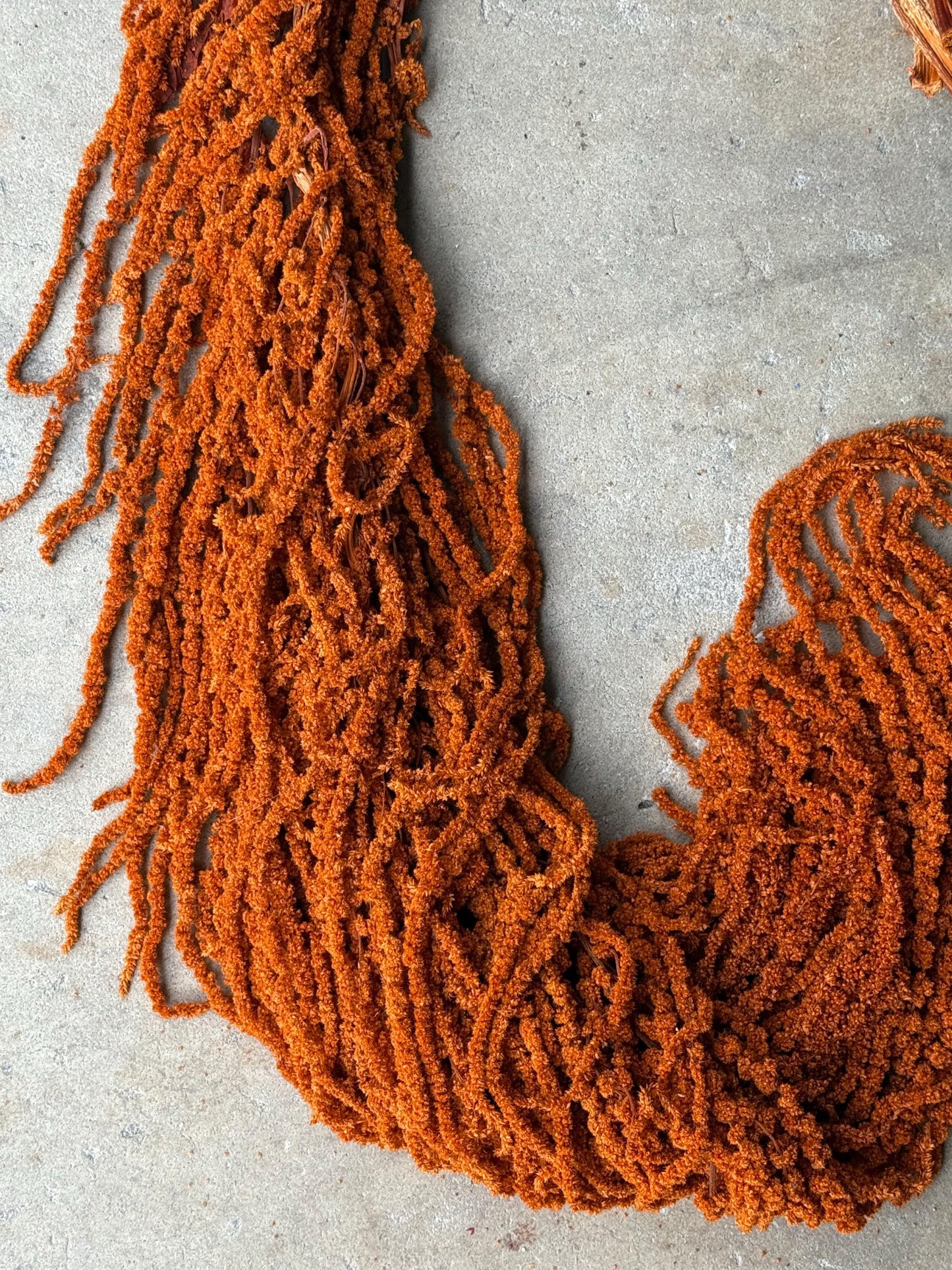 Hanging Amaranthus - Burnt Orange