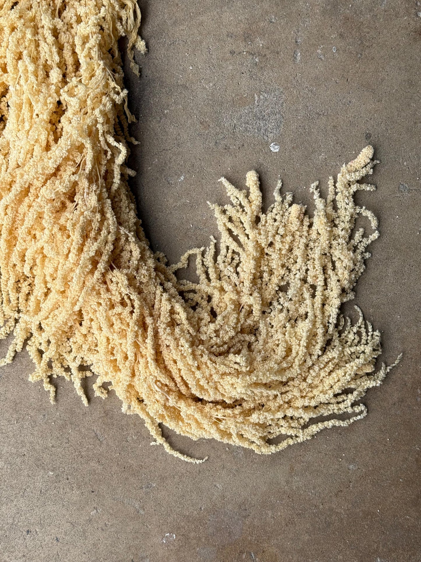 Hanging Amaranthus - Yellow