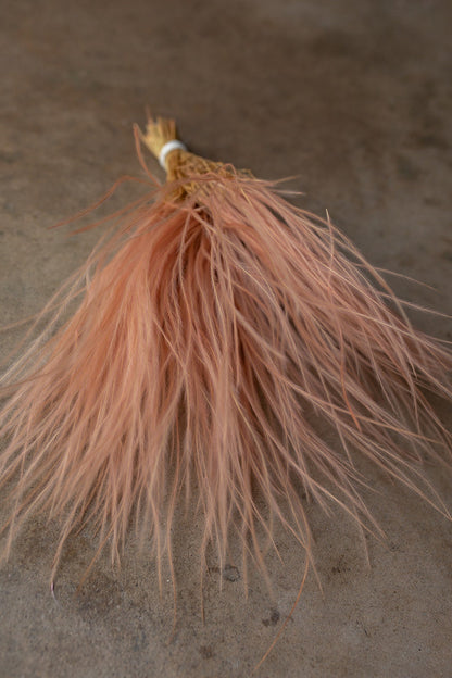 Feather Grass - Pink