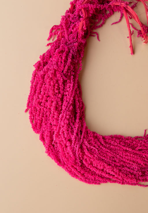 Hanging Amaranthus - Valentine's Day Bright Pink Magenta - alternate