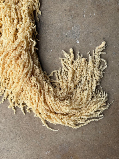 Hanging Amaranthus - Yellow