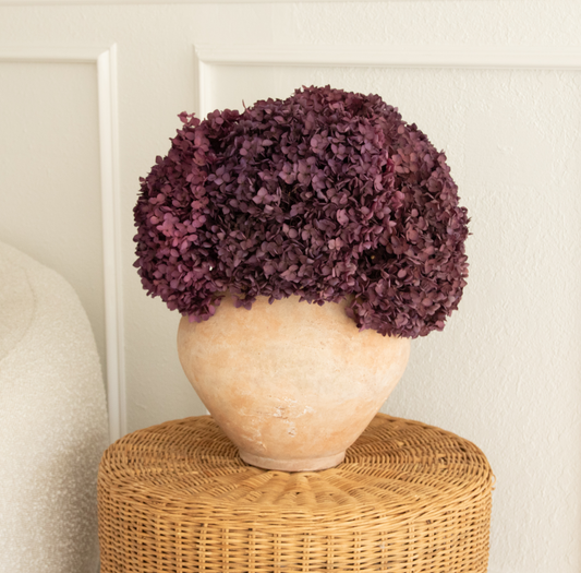 Real Hydrangea Preserved - Large Purple Plum