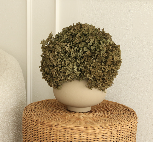 Real Hydrangea Preserved - Medium Olive Green Ombré - alternate